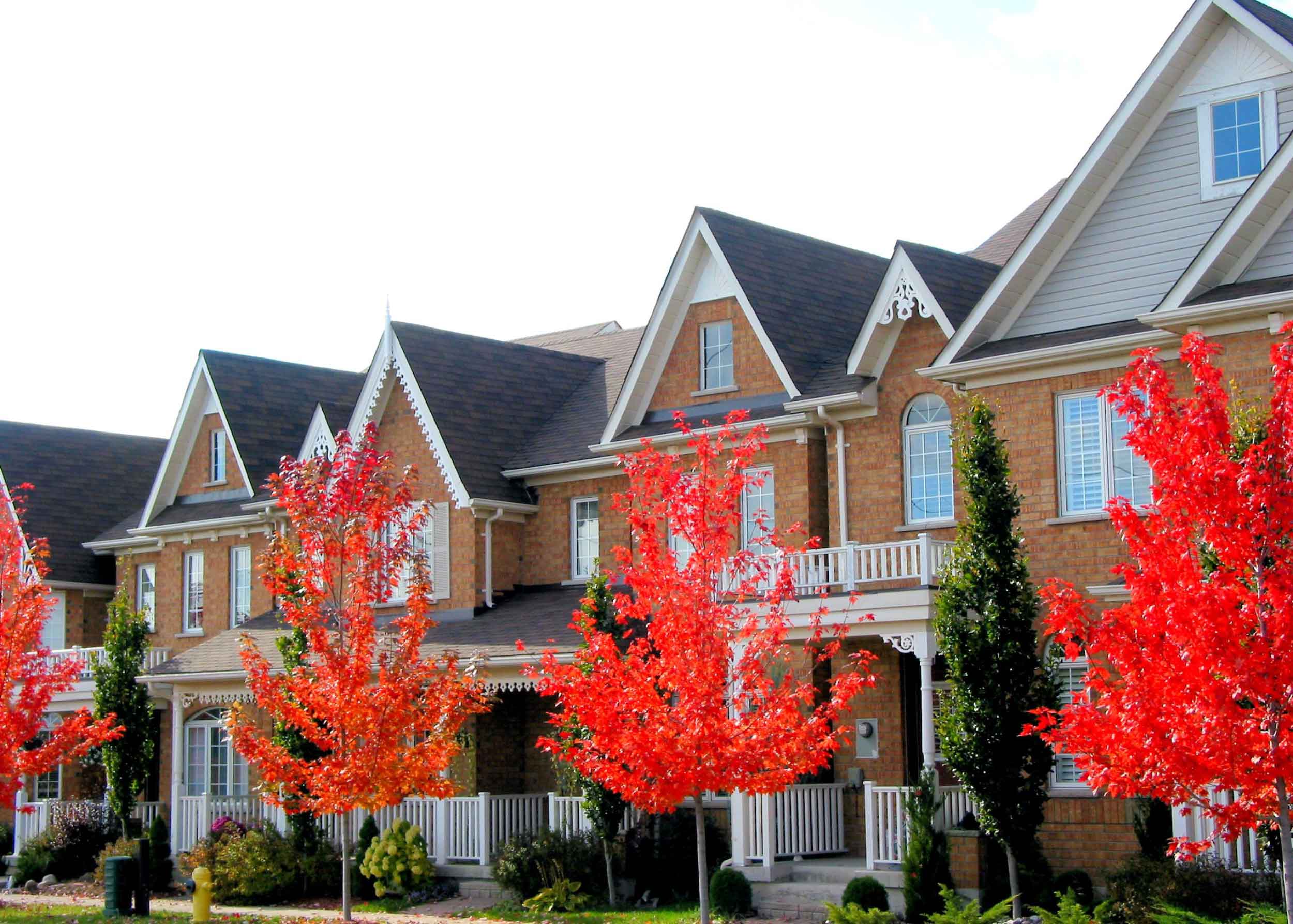 Row of houses with trees with red leaves in front of them